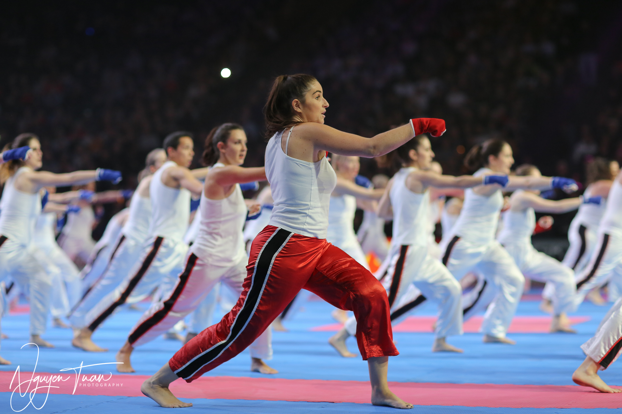 20190324 Festival des Arts Martiaux 2071